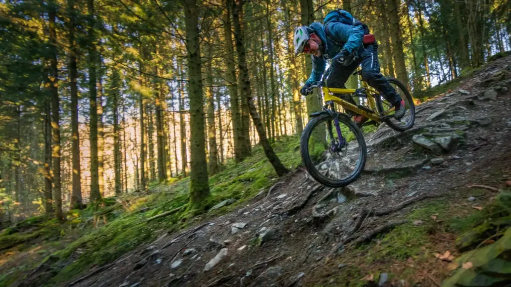 Foto_dimb IG Rureifel - SO24 - Monschau_02