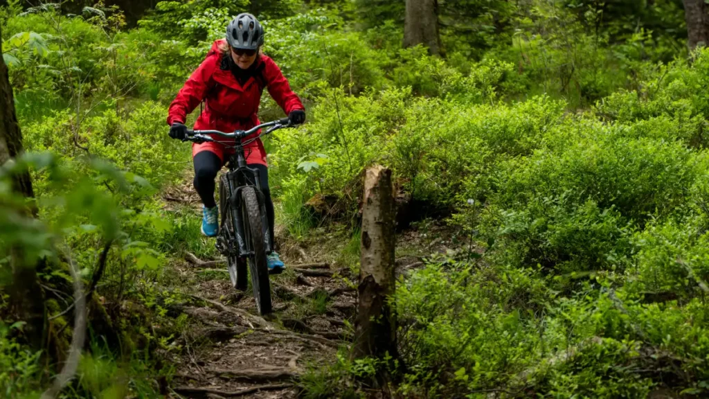 Foto_dimb IG Rureifel - SO24 - Monschau_03