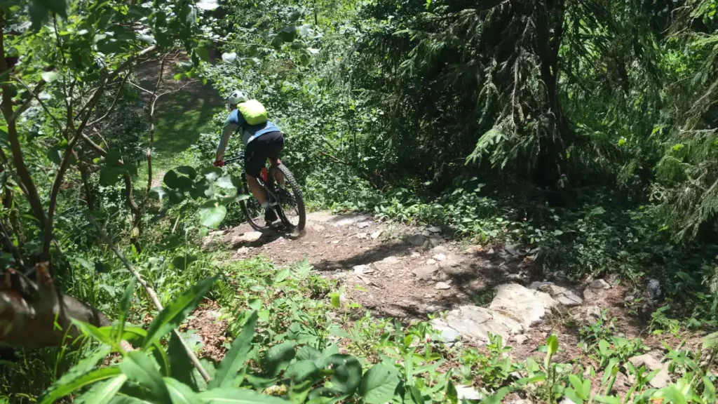 Foto_dimb IG Rureifel - SO24 - Monschau_07